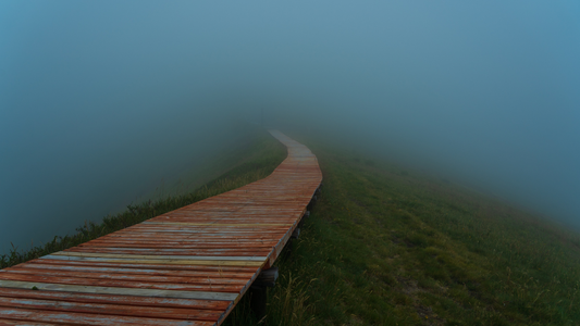 A person navigating uncertainty after losing a parent